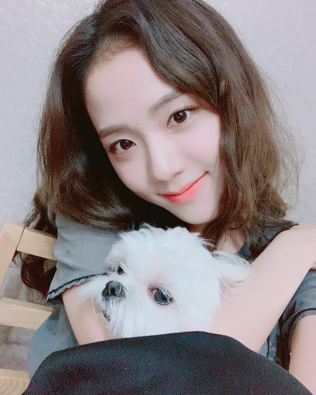 Sướng như cún cưng nhà Jisoo (BLACKPINK): Được tận 3 lãnh đạo cao cấp của Dior gửi thư tay, quà có giá gần 80 triệu đồng - Ảnh 7. Sướng như cún cưng nhà Jisoo (BLACKPINK): Được tận 3 lãnh đạo cao cấp của Dior gửi thư tay, quà có giá gần 80 triệu đồng - Ảnh 7.
