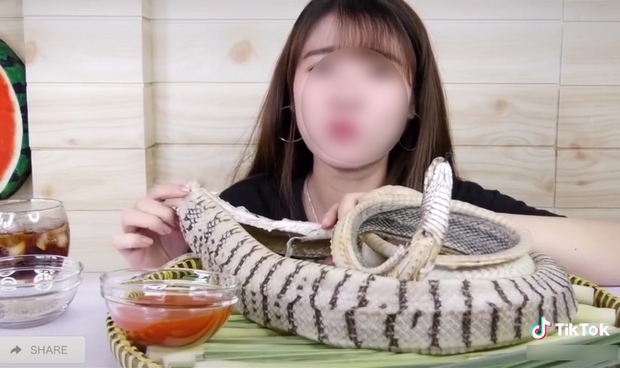 Cô gái ăn thịt rắn nguyên con khiến cư dân mạng thi nhau tranh cãi: Người cho rằng quá kinh dị, người nói có ai cấm đâu mà sợ - Ảnh 3. Cô gái ăn thịt rắn nguyên con khiến cư dân mạng thi nhau tranh cãi: Người cho rằng quá kinh dị, người nói có ai cấm đâu mà sợ - Ảnh 3.