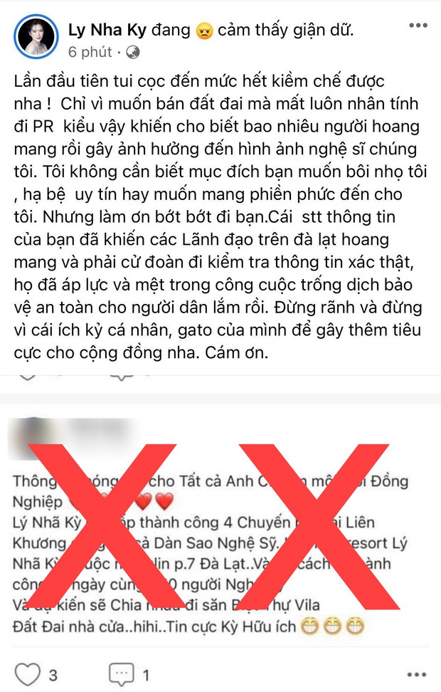 Bị chỉ trích khoe của, không quan tâm sức khoẻ người dân giữa dịch, Lý Nhã Kỳ gay gắt đáp trả 1:1 cả loạt - Ảnh 5. Bị chỉ trích khoe của, không quan tâm sức khoẻ người dân giữa dịch, Lý Nhã Kỳ gay gắt đáp trả 1:1 cả loạt - Ảnh 5.
