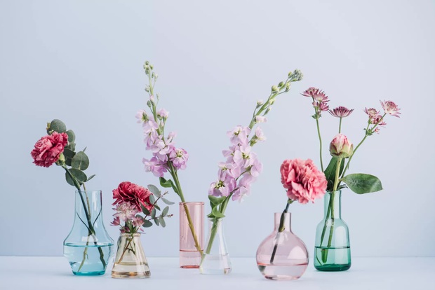 8 món decor cơ bản nhưng ảnh hưởng lớn đến phong thuỷ, muốn nhiều may mắn thì chớ coi thường - Ảnh 2.