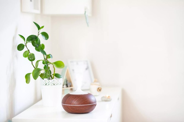 8 món decor cơ bản nhưng ảnh hưởng lớn đến phong thuỷ, muốn nhiều may mắn thì chớ coi thường - Ảnh 8.