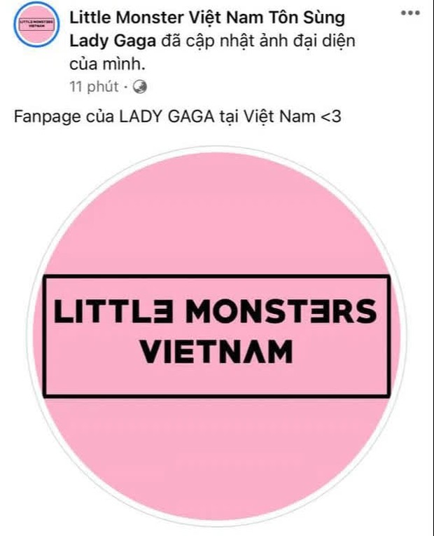 1 loạt fanpage của Taylor Swift, Lady Gaga và sao US-UK tại Việt Nam đổi avatar đen hồng như trúng lời nguyền BLACKPINK, chuyện gì đây? - Ảnh 1.