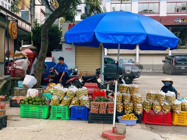 Mùa lãng mạn nhất Đà Lạt sắp tới rồi: Những tán hồng chín đỏ cả một đoạn đèo Mimosa, bạn vẫn nhớ vị ngọt giòn tan của nó chứ? - Ảnh 2.