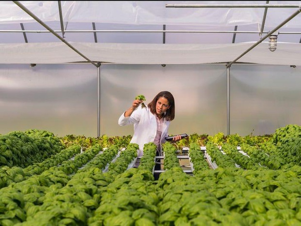 20 công việc lương cao, ít áp lực, thăng tiến nhanh từ nay đến năm 2029 - Ảnh 14.