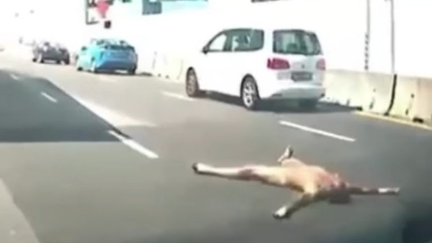 Liên tục xuất hiện nam thanh nữ tú trần như nhộng trên đường phố Singapore trong thời gian giãn cách - Ảnh 4.
