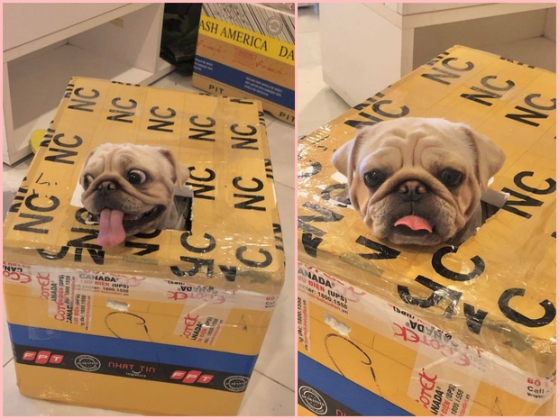 Gái xinh kể chuyện là F0 cách ly ở Thuận Kiều Plaza: Chẳng có gì sợ, ngày ăn 3 bữa đủ món, WC sạch sẽ, wifi vù vù! - Ảnh 8.