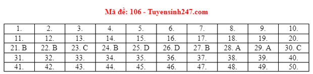 Đáp án đề thi môn Toán tốt nghiệp THPT 2021 tất cả mã đề - Ảnh 5.