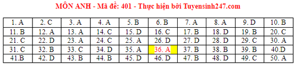 Đáp án đề thi môn Tiếng Anh tốt nghiệp THPT 2021 tất cả các mã đề - Ảnh 1.