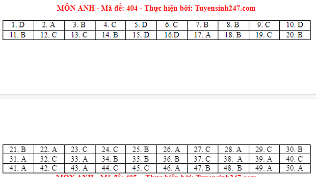 Đáp án đề thi môn Tiếng Anh tốt nghiệp THPT 2021 tất cả các mã đề - Ảnh 4.