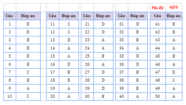 Đáp án đề thi môn Tiếng Anh tốt nghiệp THPT 2021 tất cả các mã đề - Ảnh 9.