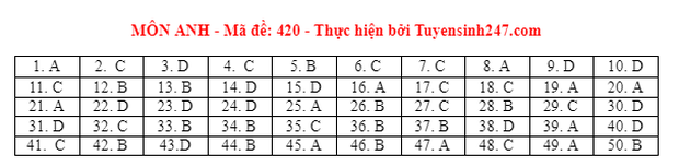 Đáp án đề thi môn Tiếng Anh tốt nghiệp THPT 2021 tất cả các mã đề - Ảnh 17.