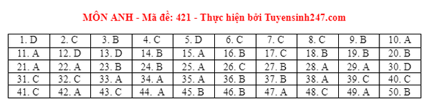 Đáp án đề thi môn Tiếng Anh tốt nghiệp THPT 2021 tất cả các mã đề - Ảnh 18.