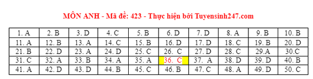 Đáp án đề thi môn Tiếng Anh tốt nghiệp THPT 2021 tất cả các mã đề - Ảnh 20.