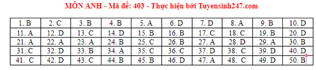 Đáp án đề thi môn Tiếng Anh tốt nghiệp THPT 2021 tất cả các mã đề - Ảnh 3.