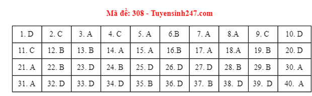 Đáp án đề thi môn Lịch sử tốt nghiệp THPT 2021 tất cả các mã đề - Ảnh 8.