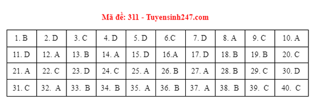 Đáp án đề thi môn Lịch sử tốt nghiệp THPT 2021 tất cả các mã đề - Ảnh 9.