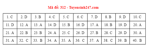 Đáp án đề thi môn Lịch sử tốt nghiệp THPT 2021 tất cả các mã đề - Ảnh 10.