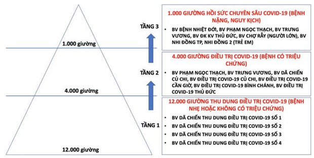 TP.HCM làm gì để quyết dập dịch trong 15 ngày giãn cách? - Ảnh 4.