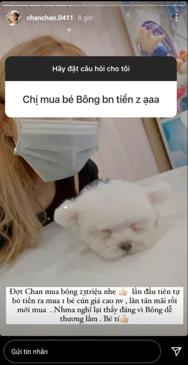Vợ streamer giàu nhất Việt Nam mua cún cưng giá 23 triệu đồng - Ảnh 1.
