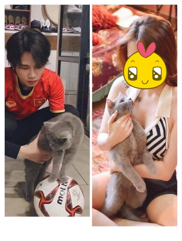 Cùng một bé mèo Jack mang đi tán 2 em, đâu có ngờ chính pet cưng lại là bằng chứng tố chàng ngoại tình? - Ảnh 2. Cùng một bé mèo Jack mang đi tán 2 em, đâu có ngờ chính pet cưng lại là bằng chứng tố chàng ngoại tình? - Ảnh 2.