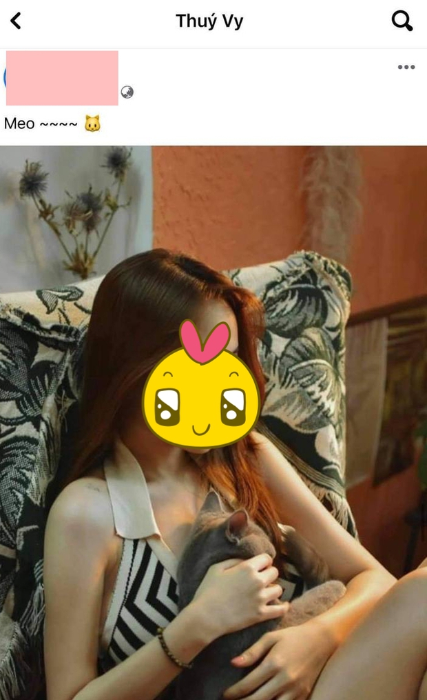 Cùng một bé mèo Jack mang đi tán 2 em, đâu có ngờ chính pet cưng lại là bằng chứng tố chàng ngoại tình? - Ảnh 3. Cùng một bé mèo Jack mang đi tán 2 em, đâu có ngờ chính pet cưng lại là bằng chứng tố chàng ngoại tình? - Ảnh 3.