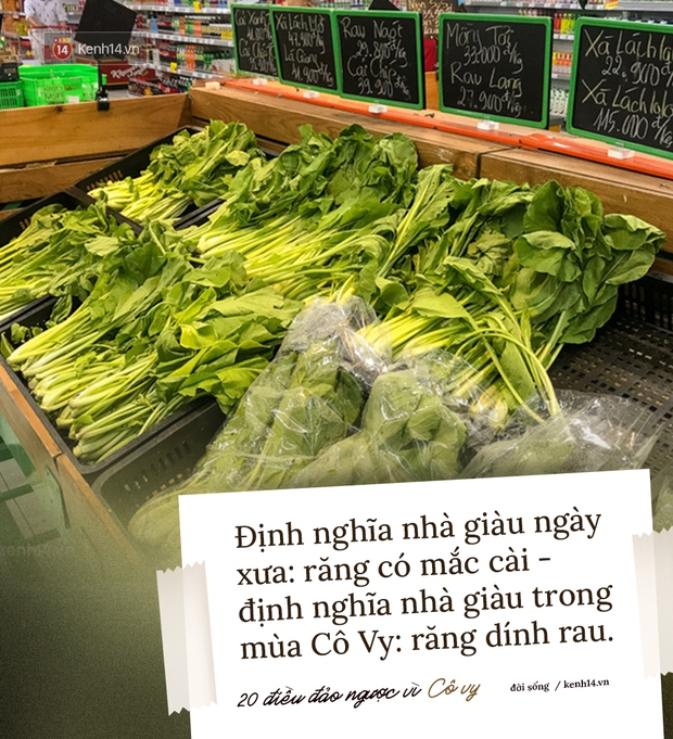 20 điều vốn bình thường nhưng “đáo ngược” vì Cô Vy! - Ảnh 3.