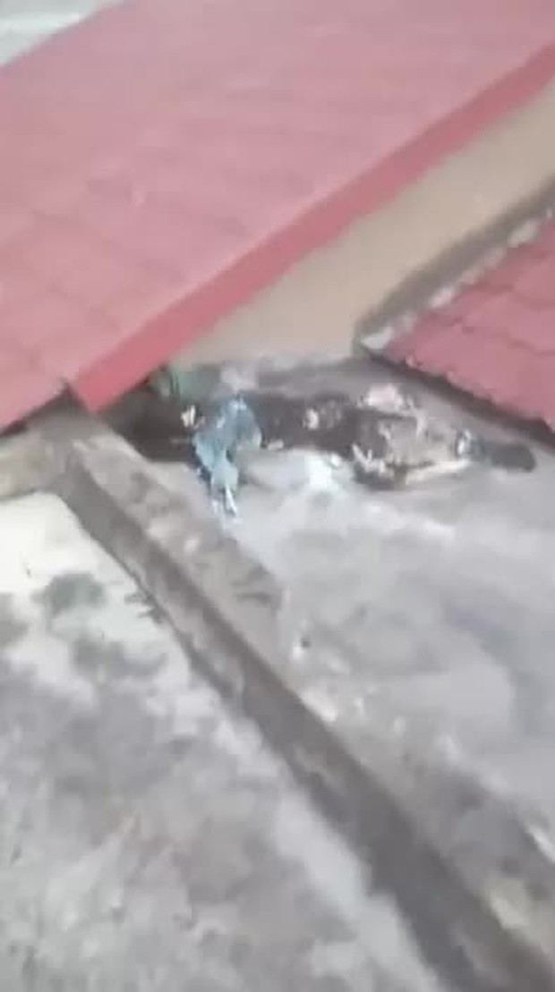 Kết quả xác minh ban đầu vụ bộ xương người trên mái nhà ở Bình Chánh, TP.HCM - Ảnh 1. Kết quả xác minh ban đầu vụ bộ xương người trên mái nhà ở Bình Chánh, TP.HCM - Ảnh 1.