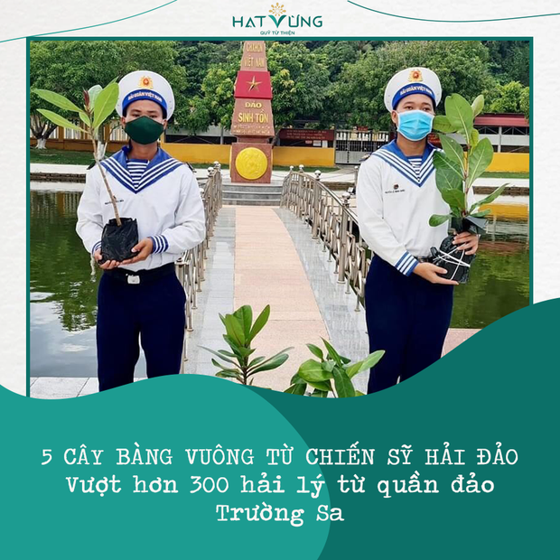 BTV Ngọc Trinh góp đồng hồ 800 triệu, 1 Hoa hậu cùng dàn sao khủng livestream đấu giá mua máy thở tặng bệnh viện - Ảnh 16.