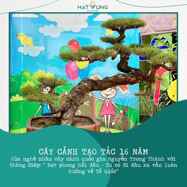 BTV Ngọc Trinh góp đồng hồ 800 triệu, 1 Hoa hậu cùng dàn sao khủng livestream đấu giá mua máy thở tặng bệnh viện - Ảnh 17.