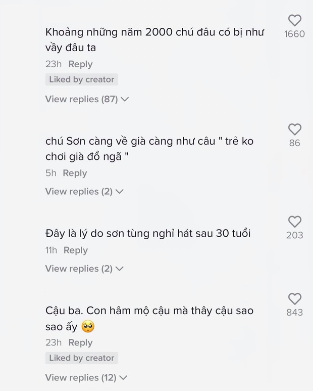 Ngọc Sơn biến hit Alan Walker thành nhạc bolero, netizen than thở: Chính chủ nghe xong chắc xỉu 3 ngày - Ảnh 5.