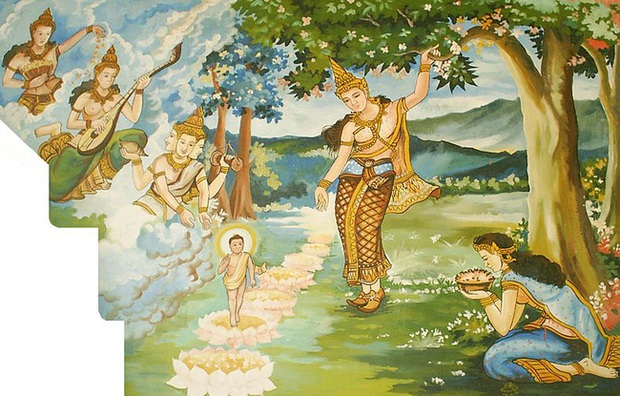 Loài hoa mọc chen chúc tua tủa từ gốc đến ngọn: Sở hữu vẻ đẹp xao xuyến, ẩn chứa ý nghĩa đặc biệt và được người Việt quý vô cùng - Ảnh 6. Loài hoa mọc chen chúc tua tủa từ gốc đến ngọn: Sở hữu vẻ đẹp xao xuyến, ẩn chứa ý nghĩa đặc biệt và được người Việt quý vô cùng - Ảnh 6.