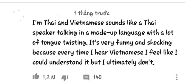 Người nước ngoài review tiếng Việt: Học 1 tháng không đánh vần được a, ă, â; sốc văn hóa vì mỗi từ You lại quá lắm cách gọi - Ảnh 7. Người nước ngoài review tiếng Việt: Học 1 tháng không đánh vần được a, ă, â; sốc văn hóa vì mỗi từ You lại quá lắm cách gọi - Ảnh 7.