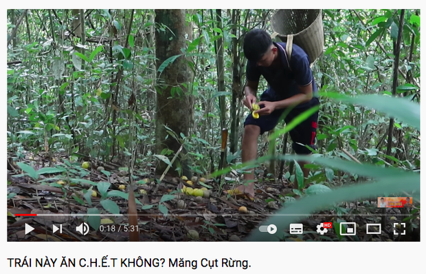 Loại quả dại trước đây chỉ có trẻ em miền quê hái ăn chơi, giờ người thành phố muốn mua cũng khó - Ảnh 1. Loại quả dại trước đây chỉ có trẻ em miền quê hái ăn chơi, giờ người thành phố muốn mua cũng khó - Ảnh 1.