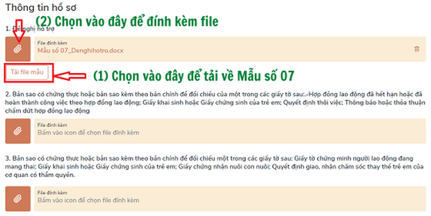 Cách nộp hồ sơ online nhận hỗ trợ Covid-19 khi không đủ điều kiện nhận trợ cấp thất nghiệp - Ảnh 4.