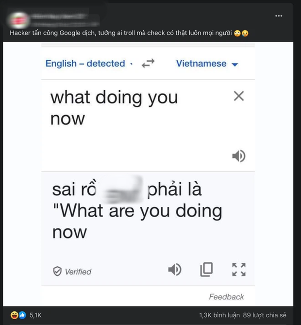 Từ nghi vấn Google Dịch bị hacker Việt tấn công đến hành động đáng lên án của nhiều người dùng Internet - Ảnh 1.