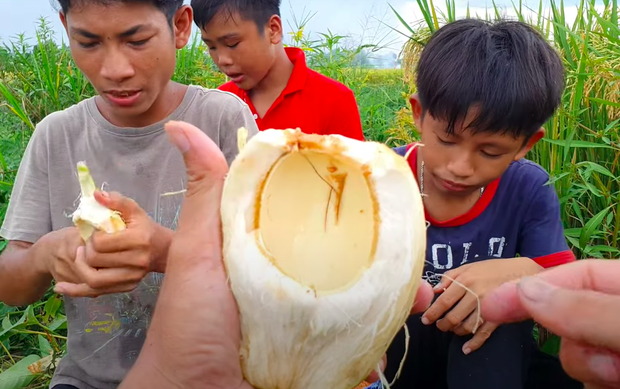Vlogger đồng quê Việt Nam giới thiệu loại dừa ăn được cả vỏ khiến người xem trố mắt: Giòn như ổi, vị chát như chuối xanh? - Ảnh 7.