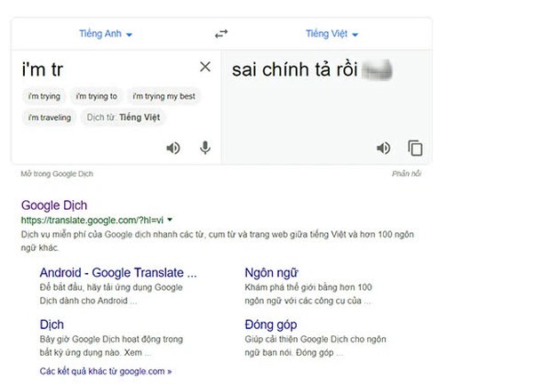 Từ nghi vấn Google Dịch bị hacker Việt tấn công đến hành động đáng lên án của nhiều người dùng Internet - Ảnh 4.