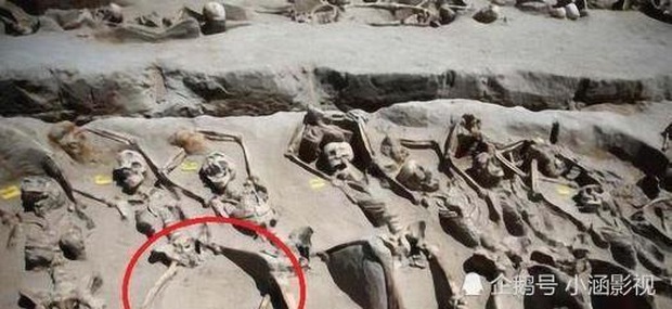 Các phi tần tuẫn táng cùng hoàng đế chân khi được phát hiện chân luôn ở tư thế mở rộng, trước khi chết đã xảy ra chuyện gì? - Ảnh 1.