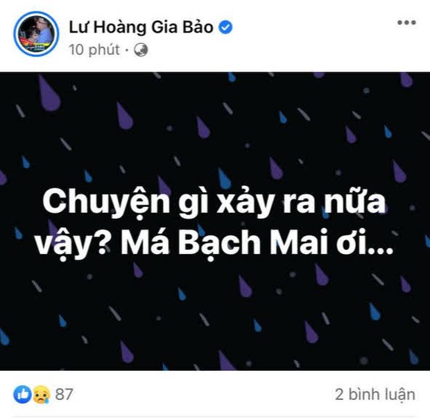 Tin buồn giữa đêm: NS Bạch Mai qua đời - Ảnh 3.