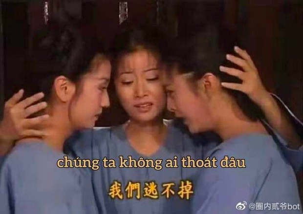 MXH Việt phát sốt vì cuộc thanh trừng Triệu Vy và dàn sao Cbiz: Không dám rời điện thoại, vừa hóng vừa lo sợ có idol mình - Ảnh 8. MXH Việt phát sốt vì cuộc thanh trừng Triệu Vy và dàn sao Cbiz: Không dám rời điện thoại, vừa hóng vừa lo sợ có idol mình - Ảnh 8.