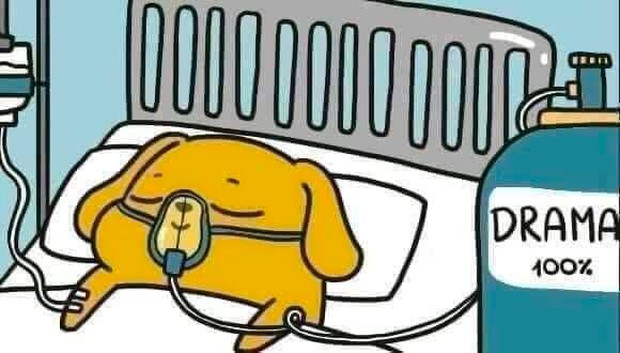 MXH Việt phát sốt vì cuộc thanh trừng Triệu Vy và dàn sao Cbiz: Không dám rời điện thoại, vừa hóng vừa lo sợ có idol mình - Ảnh 7. MXH Việt phát sốt vì cuộc thanh trừng Triệu Vy và dàn sao Cbiz: Không dám rời điện thoại, vừa hóng vừa lo sợ có idol mình - Ảnh 7.