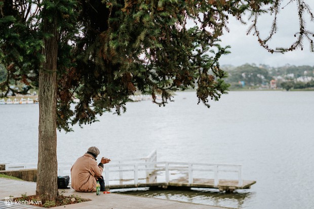 Ảnh hiếm: Một Đà Lạt chưa bao giờ hiu quạnh như thế trong mùa cao điểm du lịch, cảnh đẹp nhưng người có vui? - Ảnh 11.