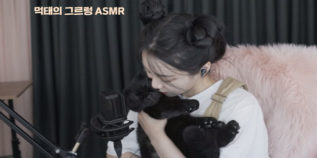Trêu đùa mèo cưng quá đà, nữ streamer bị boss tấn công tới mức phải nhập viện - Ảnh 1. Trêu đùa mèo cưng quá đà, nữ streamer bị boss tấn công tới mức phải nhập viện - Ảnh 1.