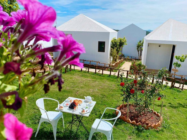 Vừa tốn hàng triệu đô xây dựng thì gặp đại dịch, số phận resort sang chảnh của Lý Nhã Kỳ trên Đà Lạt giờ ra sao? - Ảnh 3. Vừa tốn hàng triệu đô xây dựng thì gặp đại dịch, số phận resort sang chảnh của Lý Nhã Kỳ trên Đà Lạt giờ ra sao? - Ảnh 3.