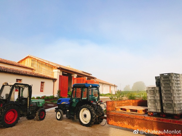 Triệu Vy giàu tới mức độ nào: Gia sản chục ngàn tỷ, siêu xe lẫn bất động sản không đếm xuể và mánh khoé khiến bao kẻ tan cửa nát nhà - Ảnh 10. Triệu Vy giàu tới mức độ nào: Gia sản chục ngàn tỷ, siêu xe lẫn bất động sản không đếm xuể và mánh khoé khiến bao kẻ tan cửa nát nhà - Ảnh 10.