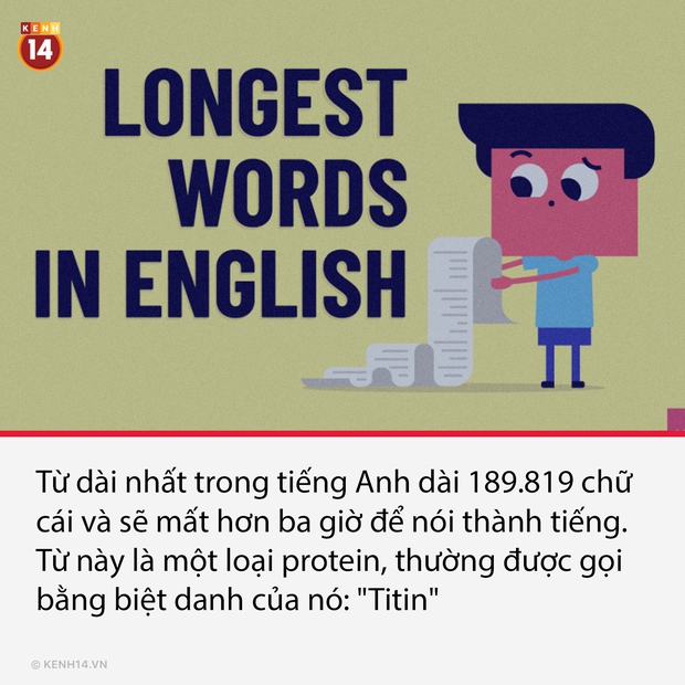 14 sự thật thú vị nhưng cũng cực lạ về thế giới quanh ta, càng đọc càng thấy bõ tiền mạng phải đóng mỗi tháng - Ảnh 10. 14 sự thật thú vị nhưng cũng cực lạ về thế giới quanh ta, càng đọc càng thấy bõ tiền mạng phải đóng mỗi tháng - Ảnh 10.