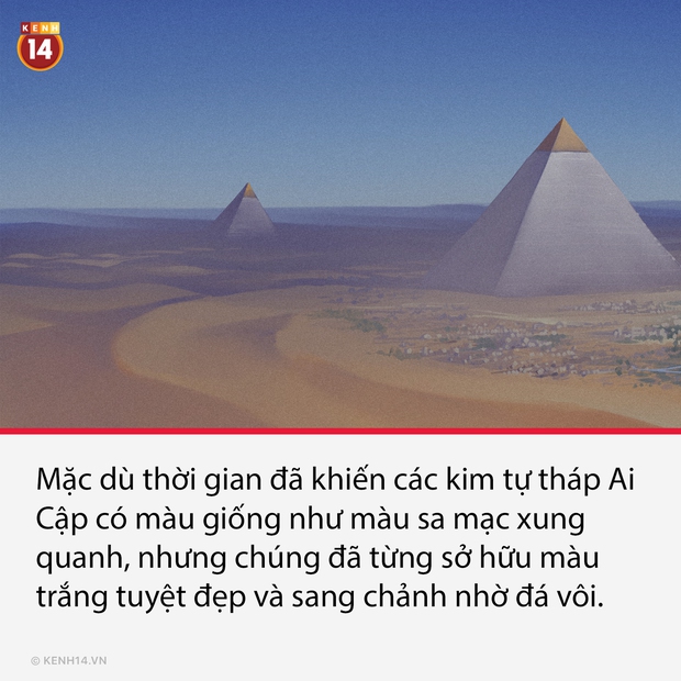 14 sự thật thú vị nhưng cũng cực lạ về thế giới quanh ta, càng đọc càng thấy bõ tiền mạng phải đóng mỗi tháng - Ảnh 7. 14 sự thật thú vị nhưng cũng cực lạ về thế giới quanh ta, càng đọc càng thấy bõ tiền mạng phải đóng mỗi tháng - Ảnh 7.