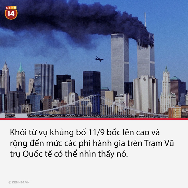 14 sự thật thú vị nhưng cũng cực lạ về thế giới quanh ta, càng đọc càng thấy bõ tiền mạng phải đóng mỗi tháng - Ảnh 8. 14 sự thật thú vị nhưng cũng cực lạ về thế giới quanh ta, càng đọc càng thấy bõ tiền mạng phải đóng mỗi tháng - Ảnh 8.
