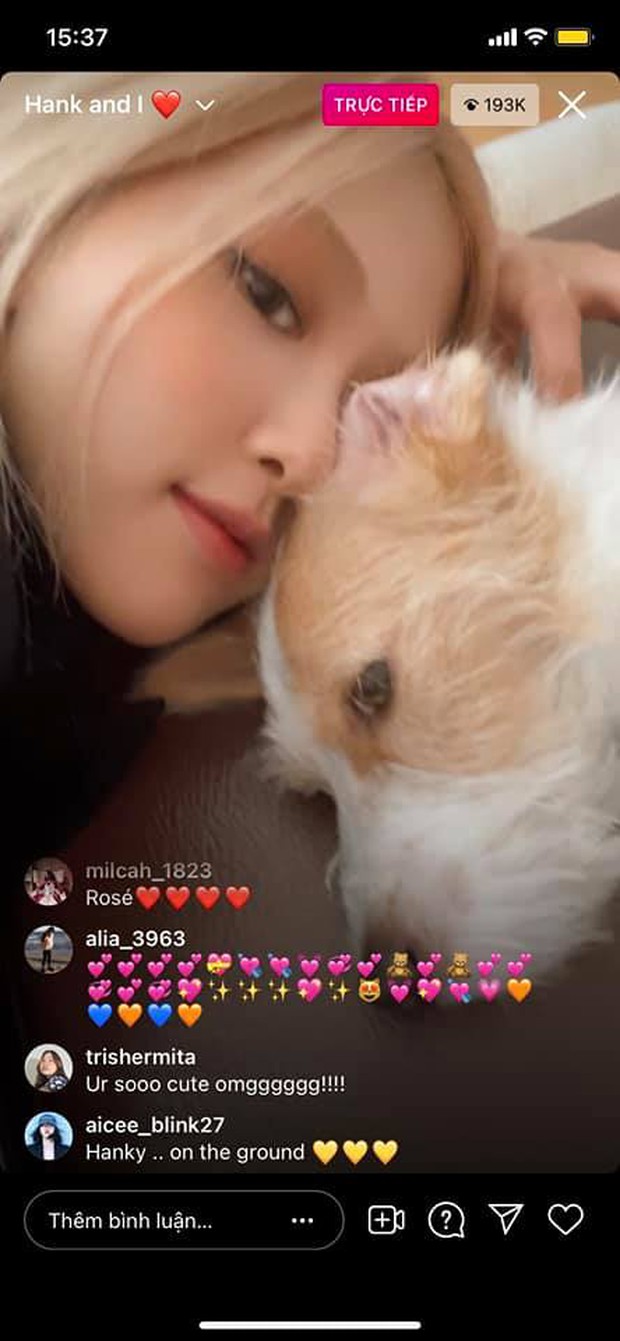 Rosé (BLACKPINK) tiết lộ lý do hơn 3 tháng không đăng video lên TikTok, nghe mà muốn xỉu ngang - Ảnh 4.