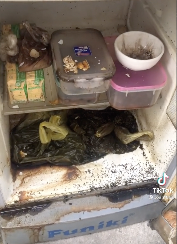 Về quê nhưng quên dọn tủ lạnh, khi trở lại nhà trọ nữ sinh sốc nặng khi thấy cảnh tượng đáng sợ bên trong - Ảnh 4. Về quê nhưng quên dọn tủ lạnh, khi trở lại nhà trọ nữ sinh sốc nặng khi thấy cảnh tượng đáng sợ bên trong - Ảnh 4.